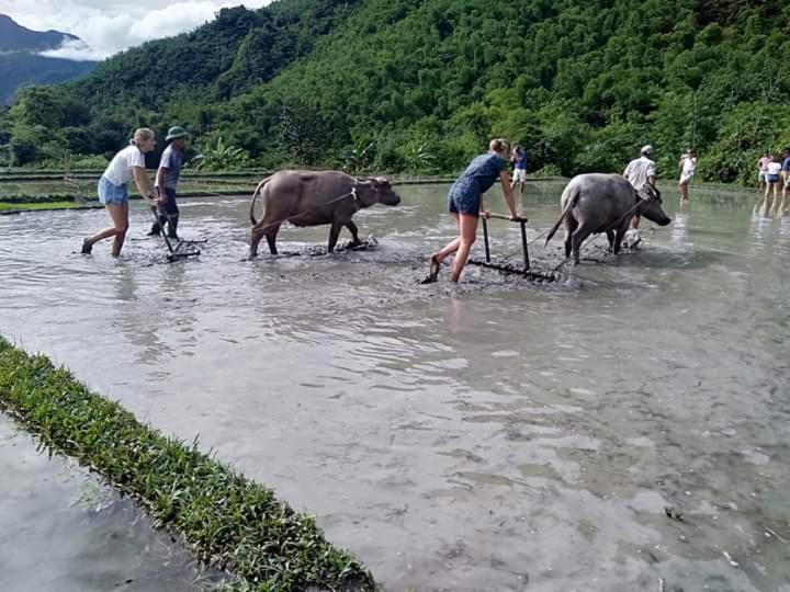 Mai Chau Xanh Bungalow מראה חיצוני תמונה