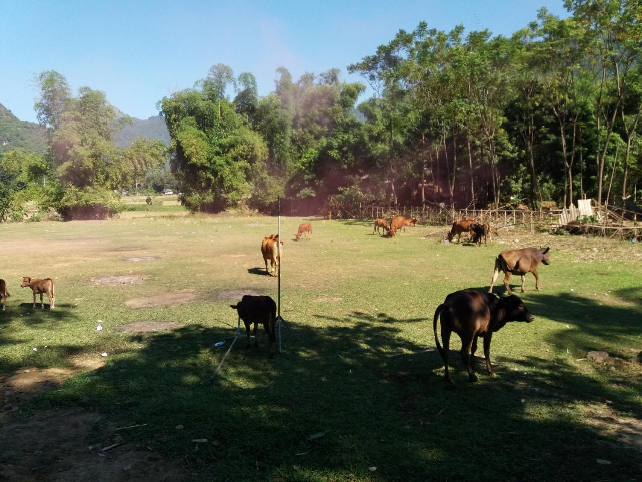 Mai Chau Xanh Bungalow מראה חיצוני תמונה